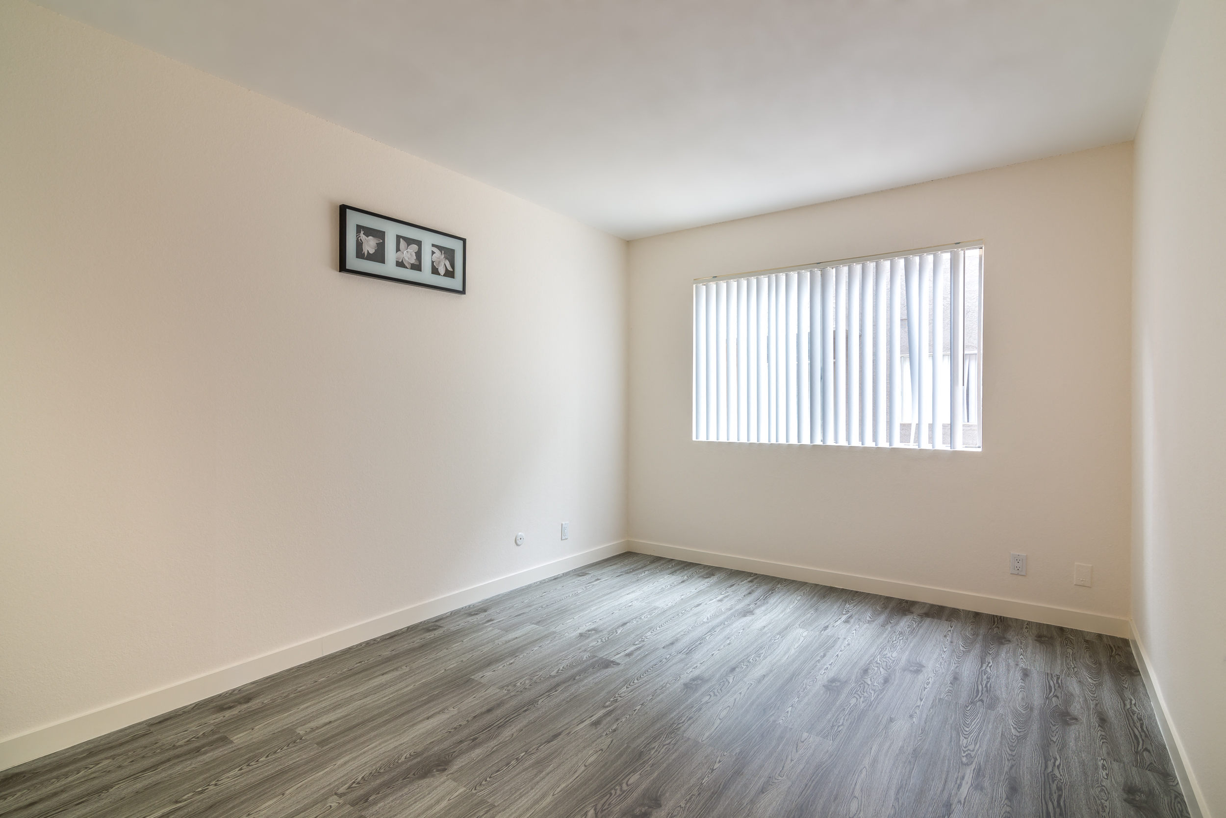 Photos and Video of 339 Ardmore in Los Angeles, CA